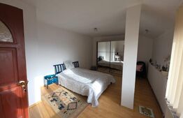 Proprietate generoasă, 10 camere, 750 mp, zona Unirea