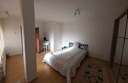 Proprietate generoasă, 10 camere, 750 mp, zona Unirea