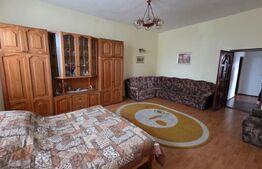 Proprietate generoasă, 10 camere, 750 mp, zona Unirea