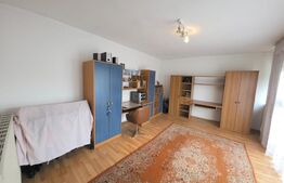 Proprietate generoasă, 10 camere, 750 mp, zona Unirea