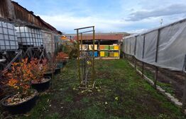 Proprietate generoasă, 10 camere, 750 mp, zona Unirea