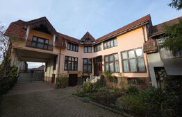 Proprietate generoasă, 10 camere, 750 mp, zona Unirea