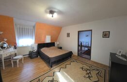 Proprietate generoasă, 10 camere, 750 mp, zona Unirea