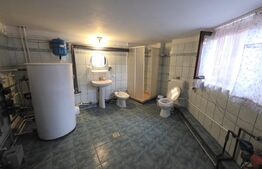 Proprietate generoasă, 10 camere, 750 mp, zona Unirea