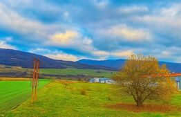 Teren de vânzare Sud - 183217TV | BLITZ Bistriţa | Poza4