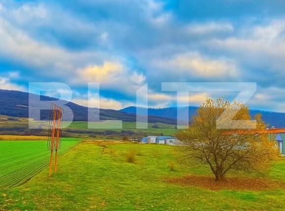 Teren de vânzare Vest - 185209TV | BLITZ Bistriţa | Poza1