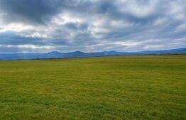 Teren de vânzare – 1,2  hectare, la drumul european, utilități la front