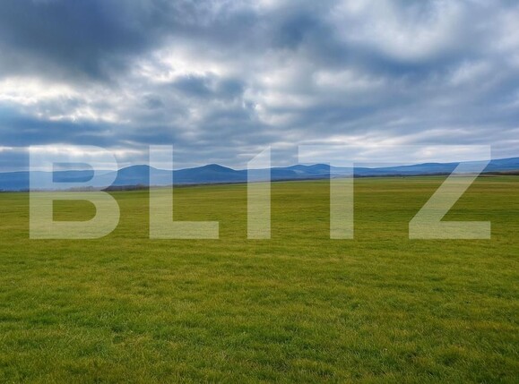 Teren de vânzare Vest - 185210TV | BLITZ Bistriţa | Poza1