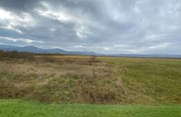 Teren de vânzare – 1,5 hectare, la drumul european, utilități la front