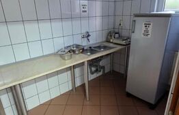 Spatiu comercial de inchiriat, Calea Moldovei, zona excelenta