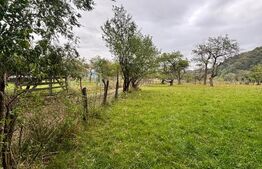 Teren Rusu bargaului, strada secundara, zona linistita