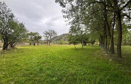 Teren Rusu bargaului, strada secundara, zona linistita