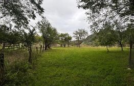 Teren Rusu bargaului, strada secundara, zona linistita