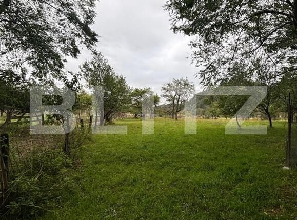 Teren de vânzare Viișoara - 185217TV | BLITZ Bistriţa | Poza4