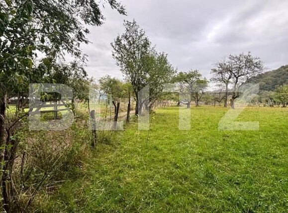 Teren de vânzare Viișoara - 185217TV | BLITZ Bistriţa | Poza2