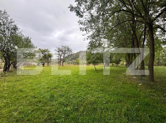 Teren de vânzare Viișoara - 185217TV | BLITZ Bistriţa | Poza1