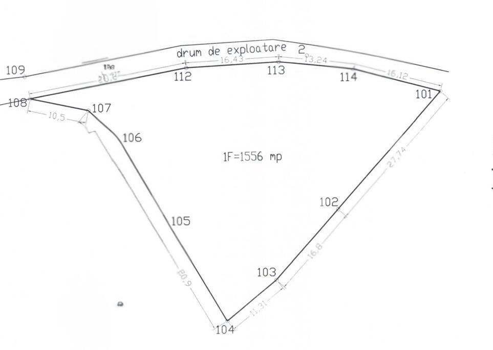 Teren de vânzare Viișoara - 185217TV | BLITZ Bistriţa | Poza3