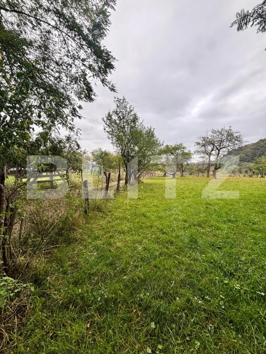 Teren de vânzare Viișoara - 185217TV | BLITZ Bistriţa | Poza2