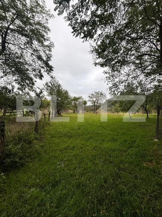 Teren de vânzare Viișoara - 185217TV | BLITZ Bistriţa | Poza4