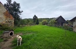 Casa de vanzare, cu 4 camere, 80 mp, satul Dorolea