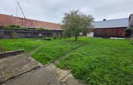 Casa de vânzare 3 camere Nord-Est - 178977CV | BLITZ Bistriţa | Poza3