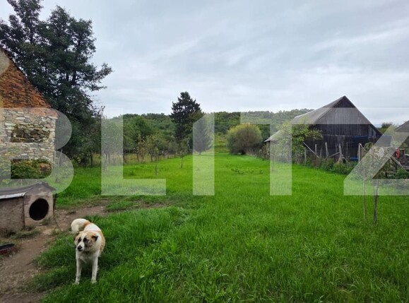 Casa de vânzare 4 camere Sud-Est - 185218CV | BLITZ Bistriţa | Poza3