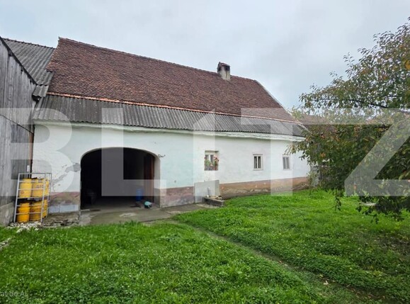 Casa de vânzare 4 camere Sud-Est - 185218CV | BLITZ Bistriţa | Poza11