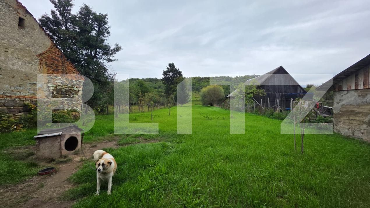 Casa de vânzare 4 camere Sud-Est - 185218CV | BLITZ Bistriţa | Poza3