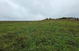 Teren Sigmir, parcelat, toate utilitatile, 880 mp