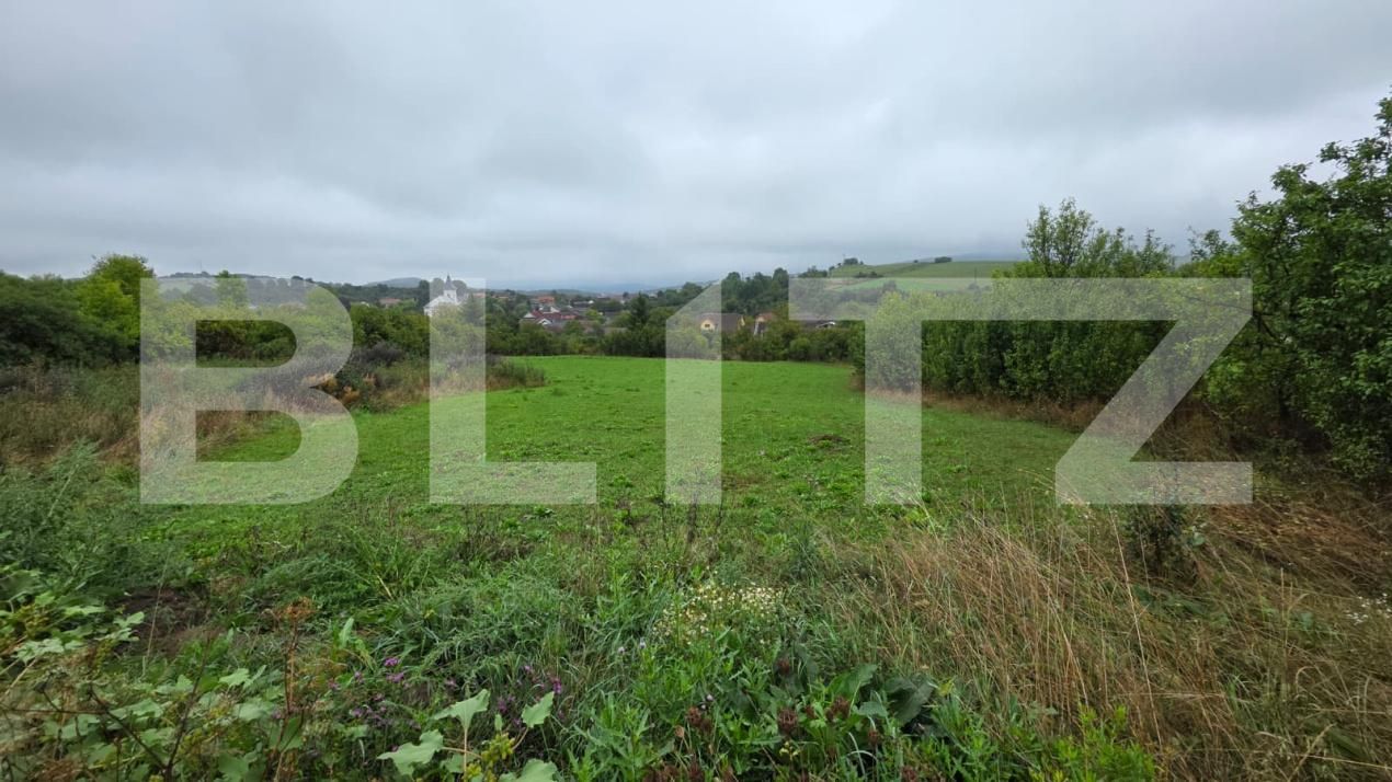 Teren de vânzare Nord-Vest - 185222TV | BLITZ Bistriţa | Poza9