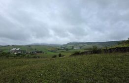 Teren intravilan, parcelat, toate utilitatile (curent, apa, canalizare si gaz)