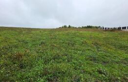 Teren de vânzare Exterior Est - 186293TV | BLITZ Bistriţa | Poza1