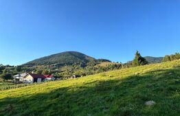 Teren de vânzare în Colibița – oportunitate de investiție