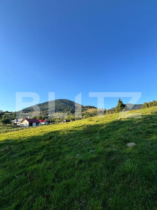 Teren de vânzare Sud-Est - 185234TV | BLITZ Bistriţa | Poza4