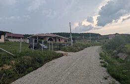 Teren construibil de vânzare, 500 mp sau 1000 mp, Dealu Jelnii- extravilan