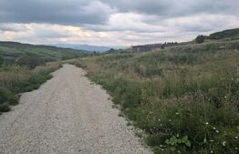 Teren construibil de vânzare, 500 mp sau 1000 mp, Dealu Jelnii- extravilan