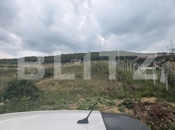 Teren de vânzare Sud-Est - 185235TV | BLITZ Bistriţa | Poza5