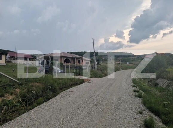 Teren de vânzare Sud-Est - 185235TV | BLITZ Bistriţa | Poza2