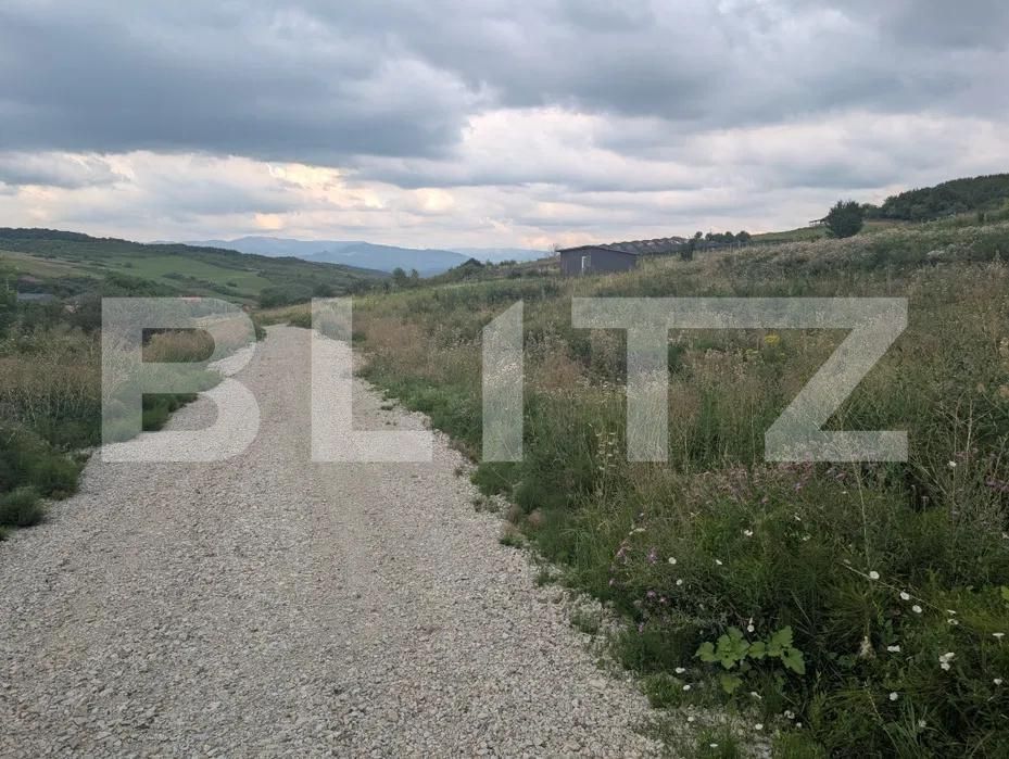 Teren de vânzare Sud-Est - 185235TV | BLITZ Bistriţa | Poza4