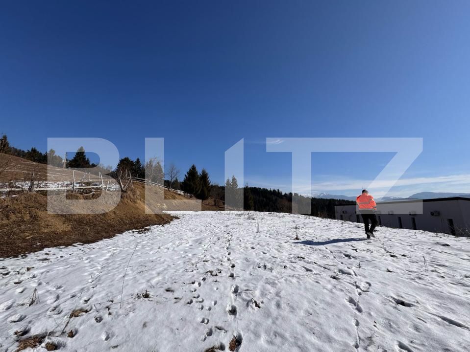 Teren de vânzare Sud - 185239TV | BLITZ Bistriţa | Poza6