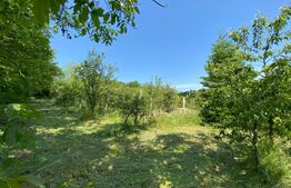 Teren intravilan de vânzare – 30 ari – Zona Podul Jelnei – priveliște panoramică