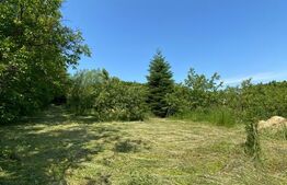 Teren intravilan de vânzare – 30 ari – Zona Podul Jelnei – priveliște panoramică