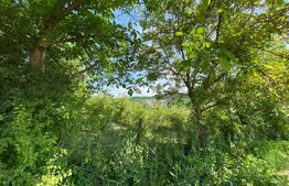 Teren intravilan de vânzare – 30 ari – Zona Podul Jelnei – priveliște panoramică