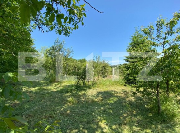 Teren de vânzare Sud-Vest - 185240TV | BLITZ Bistriţa | Poza3