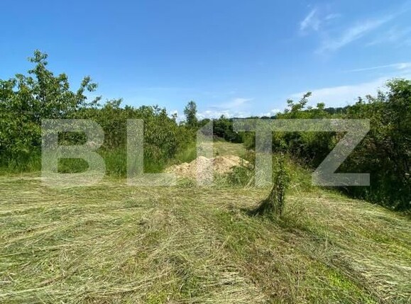 Teren de vânzare Sud-Vest - 185240TV | BLITZ Bistriţa | Poza2