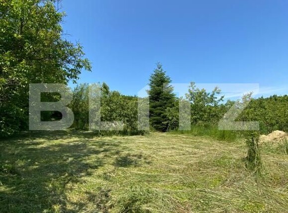 Teren de vânzare Sud-Vest - 185240TV | BLITZ Bistriţa | Poza1