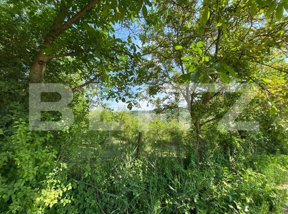 Teren de vânzare Sud-Vest - 185240TV | BLITZ Bistriţa | Poza4