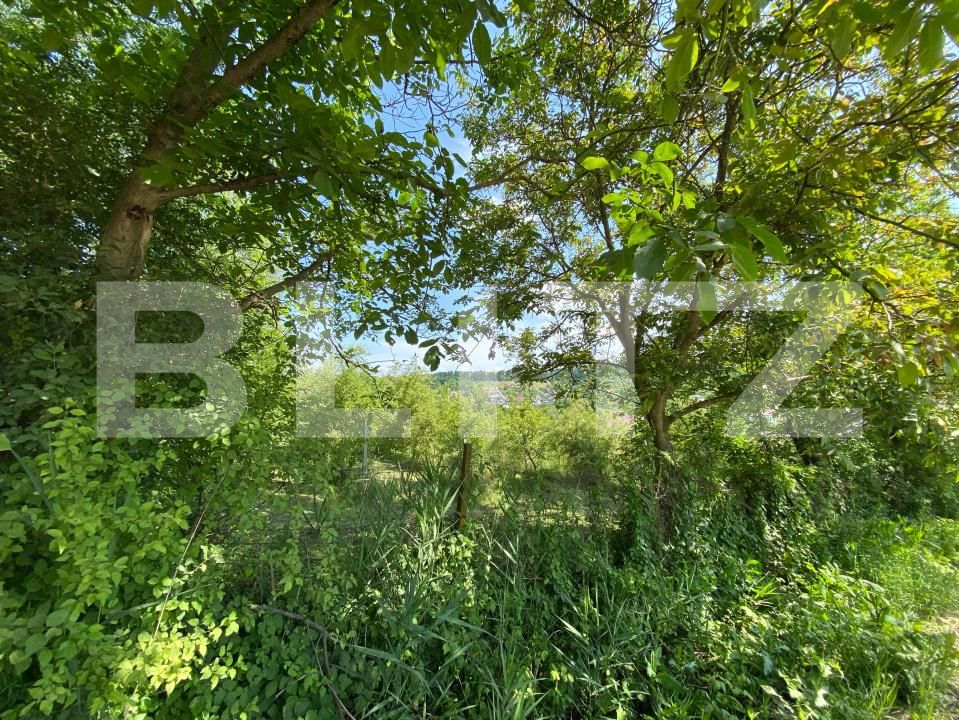 Teren de vânzare Sud-Vest - 185240TV | BLITZ Bistriţa | Poza4