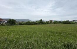 Teren intravilan, 48,3 ari zona Valea Rusului,