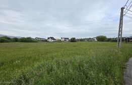 Teren intravilan, 48,3 ari zona Valea Rusului,